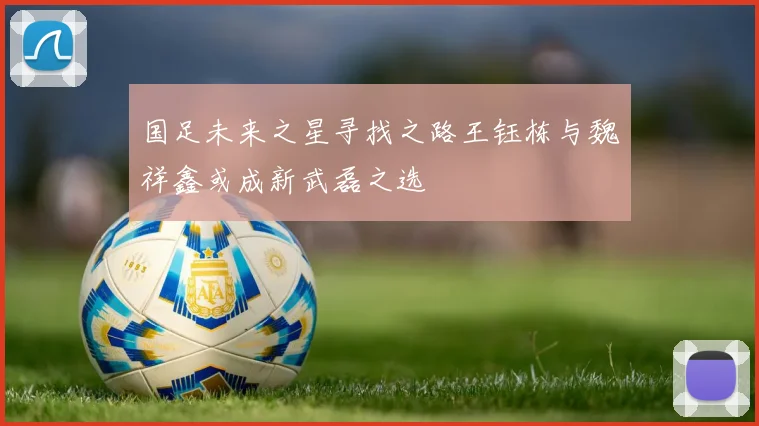 国足未来之星寻找之路王钰栋与魏祥鑫或成新武磊之选
