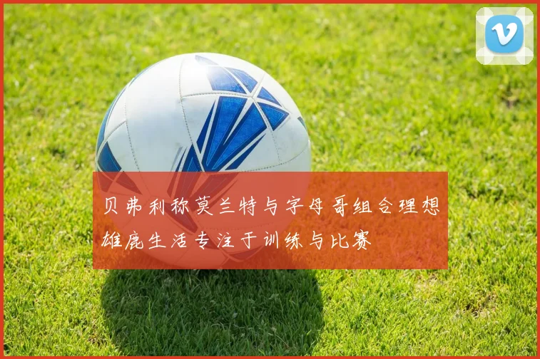 贝弗利称莫兰特与字母哥组合理想雄鹿生活专注于训练与比赛